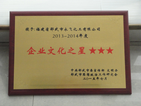 2015.7永飞2013-14年度企业文化之心